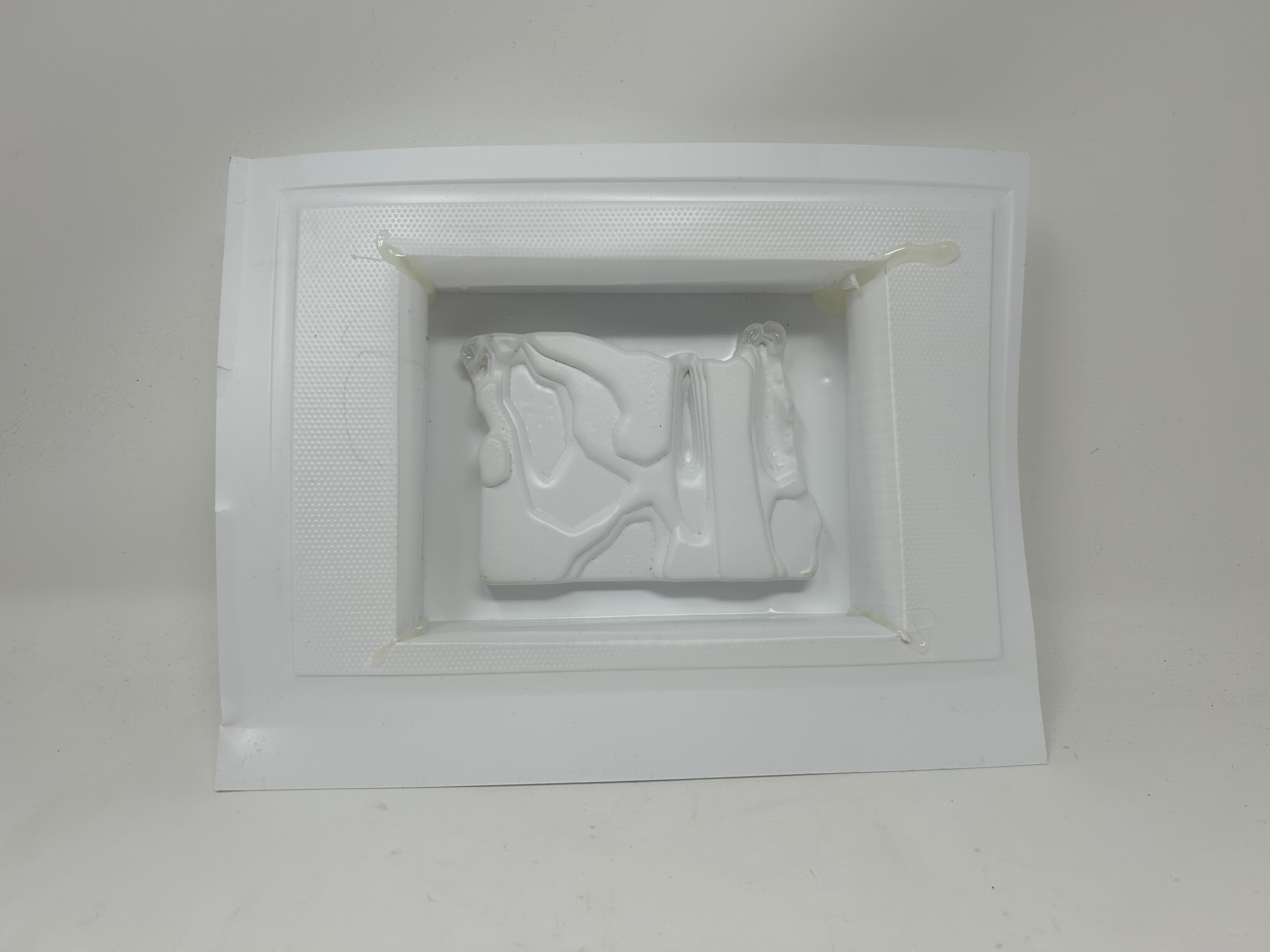 Vacuum formed plastic back view